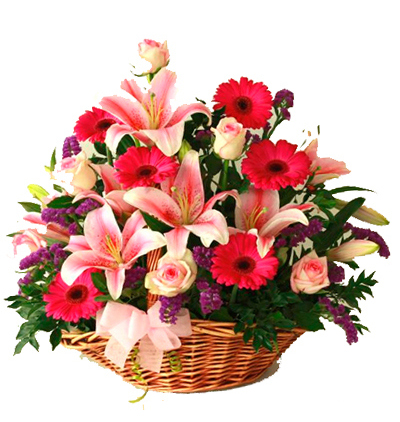 chrysanthemum gerbera Bouquet-composition of bright colors 